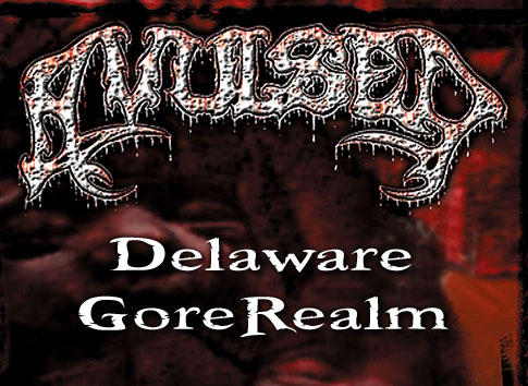 Delaware AVULSED GoreRealm