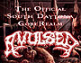 South Daytona AVULSED GoreRealm
