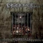 Disgorge - Necrholocaust