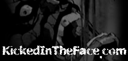 KickedInTheFace.com