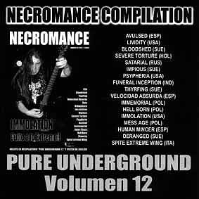 PURE UNDERGROUND - Vol. 12