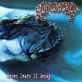 SEVEN YEARS OF DECAY
